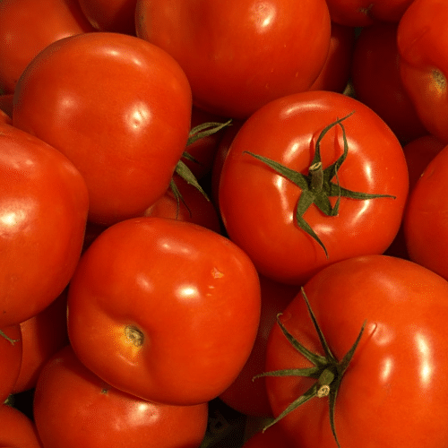 tomaten elite 500g