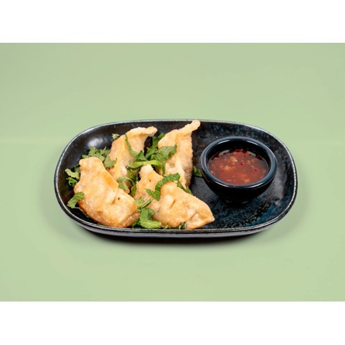 Gyozas Crispy au Poulet 