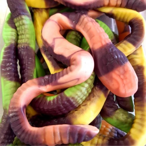 Serpent lisse