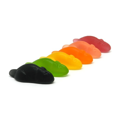 Souris multi colors