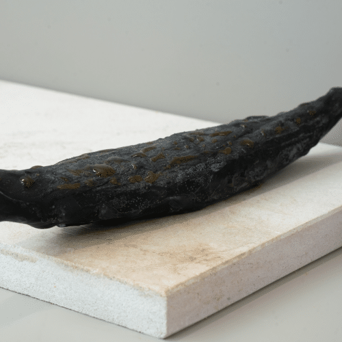 La gousse de vanille