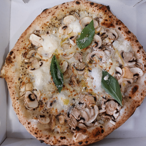 Pizza al tartufo