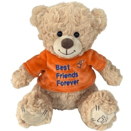 Dotti Bear: Pluche met T-Shirt Bff (20 cm)