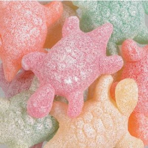 Schildpadden Citric (250g) - Merk Geldhof