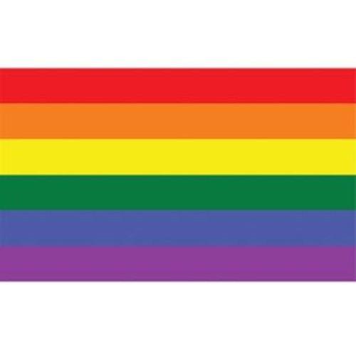 Regenboogvlag 150 x 90 cm