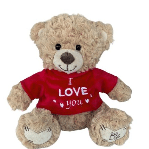 Dotti Bear: Pluche met T-Shirt I Love You(20 cm)