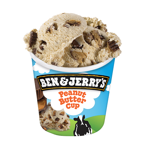 Ben & Jerry's Peanut Butter Cup (465 ml)