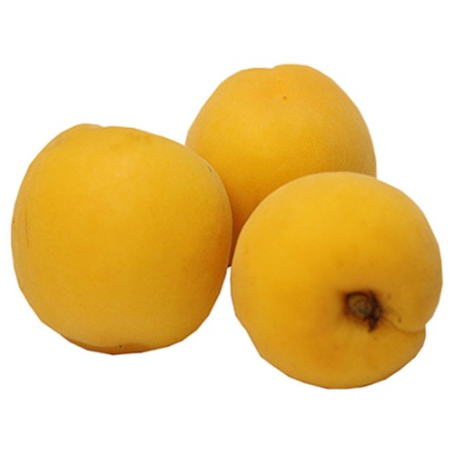 Abricots - 4 pièces