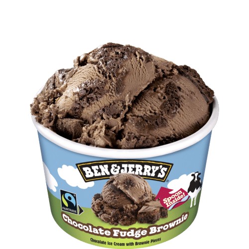 B&J Chocolate Fudge Brownie