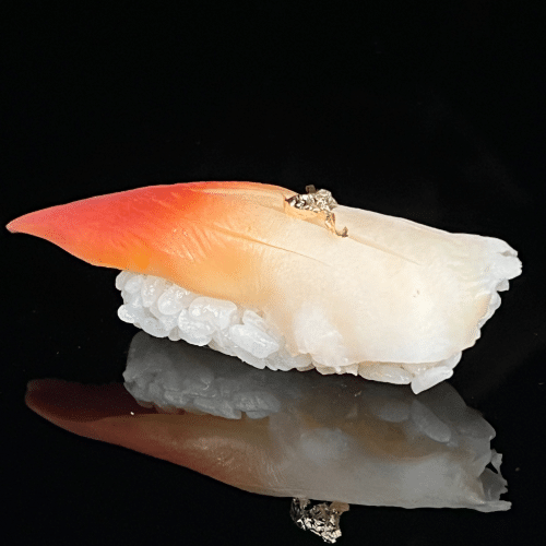 Nigiri palourdes arctiques