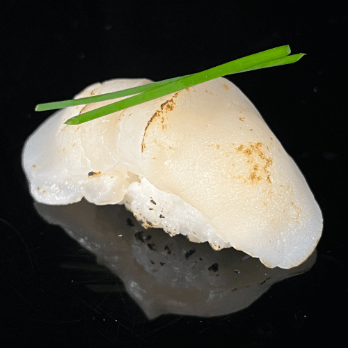 Nigiri Saint-Jacques