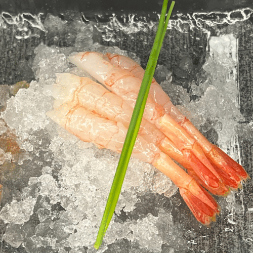 Sashimi ebi