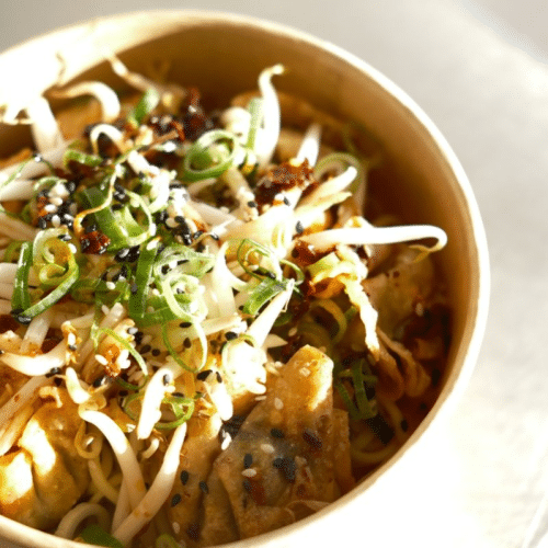 Veggie dumpling noodle soup