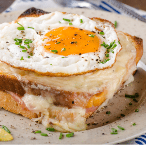 Croque Cheval