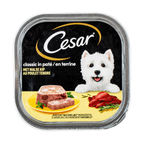 Cesar terrine chien poulet / 300g