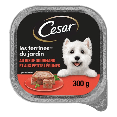Cesar terrine chien boeuf / 300g