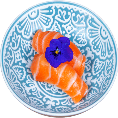 Nigiri zalm