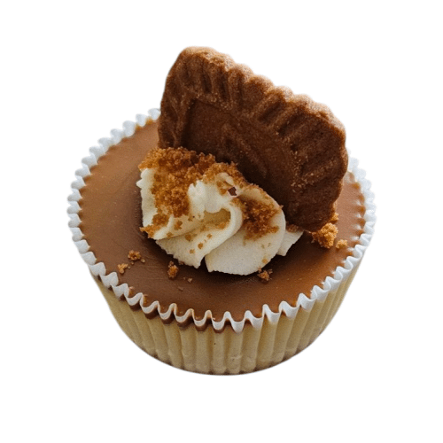 Speculoos cheesecake