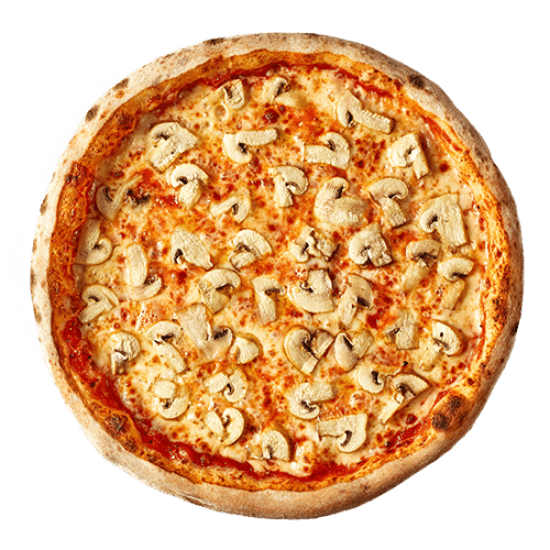 Pizza Funghi
