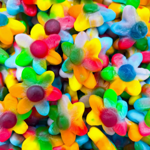 Fleur Multicolore