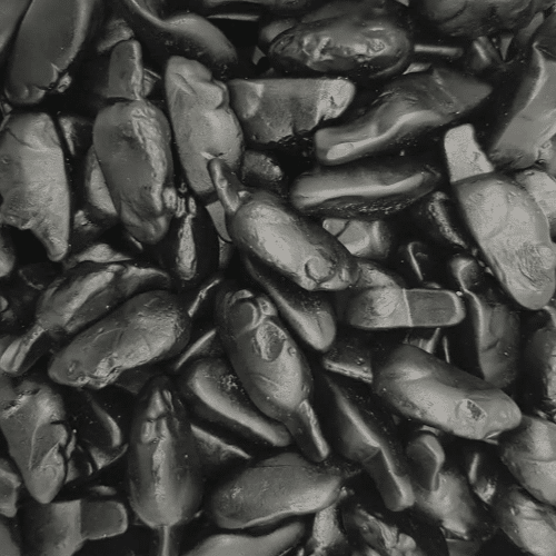 Souris noire