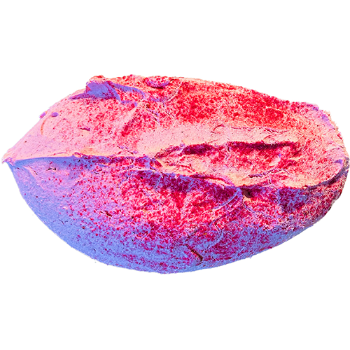 Meringue Framboos