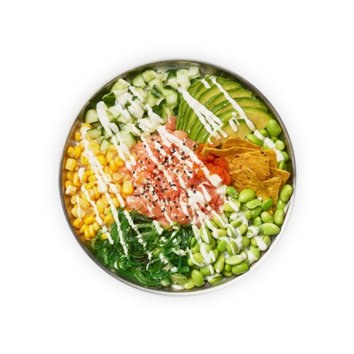 Salmon Style (LARGE)