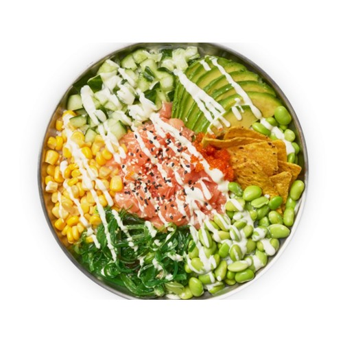 Salmon Style (LARGE)