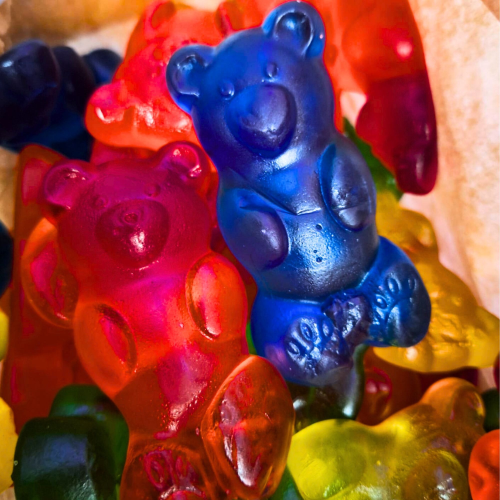 Fini Ourson XXL (1 pièce)