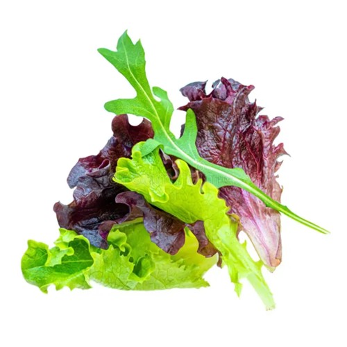 melange salades mixte 500g