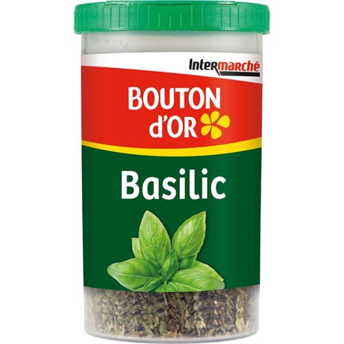 Basilic