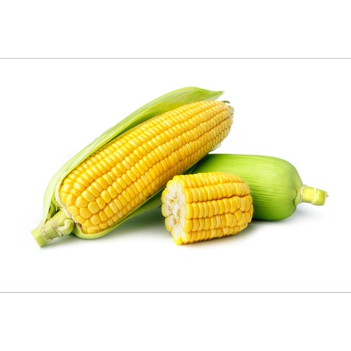 mais precuits ss vide