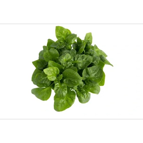 cresson botte flow-pack