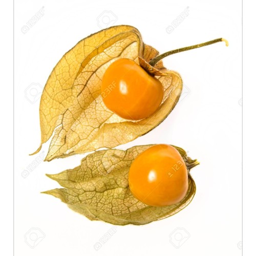 physalis ravier 125g