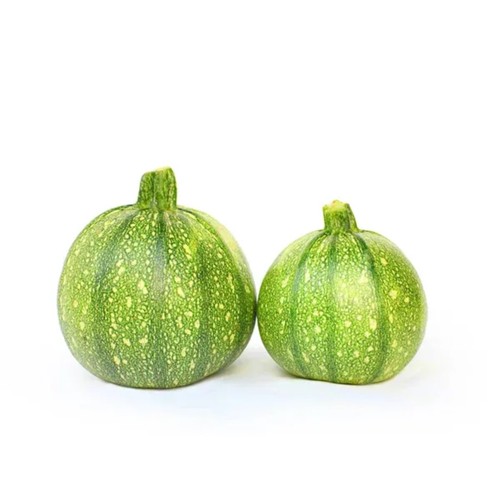 courgette ronde ravier 2pc