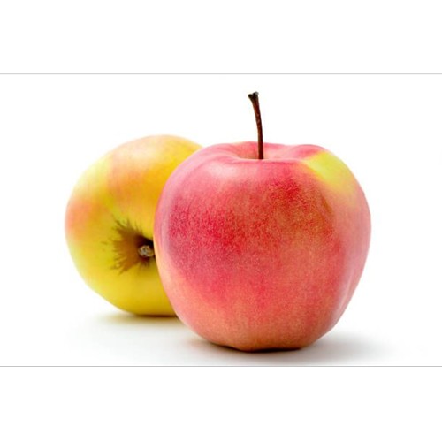 pommes jonagold ravier 6pc