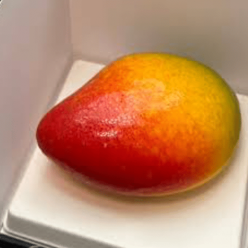 Franse patisserie mango