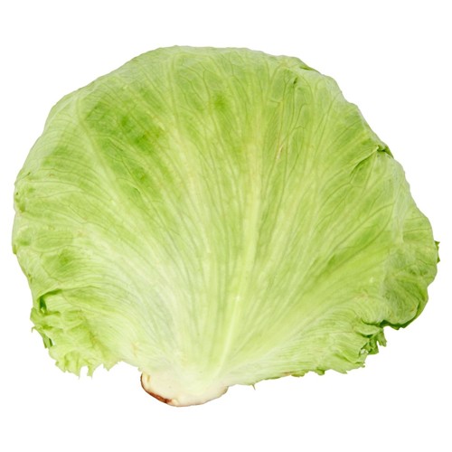 Salade Iceberg Vrac