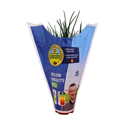 Filière Qualité Carrefour Bio Ciboulette en pot