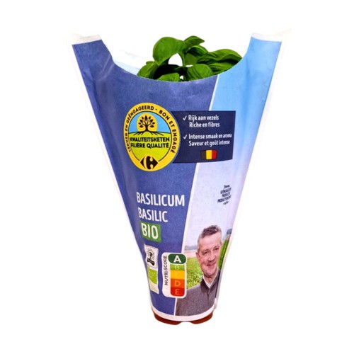 Filière Qualité Carrefour Bio Basilic en pot