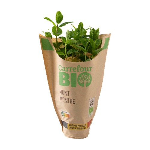 Carrefour BIO Menthe en pot