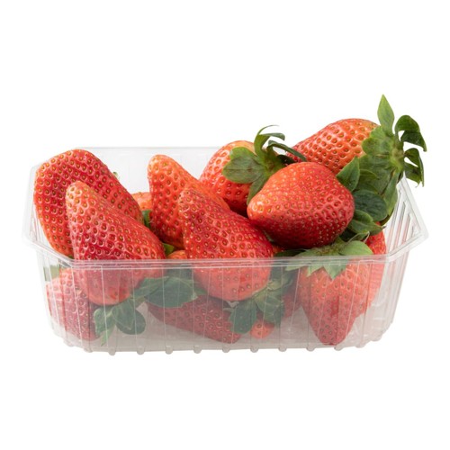Fraises 500g