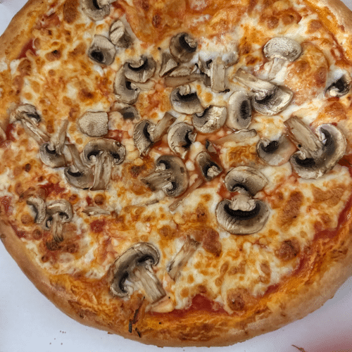 Pizza Funghi