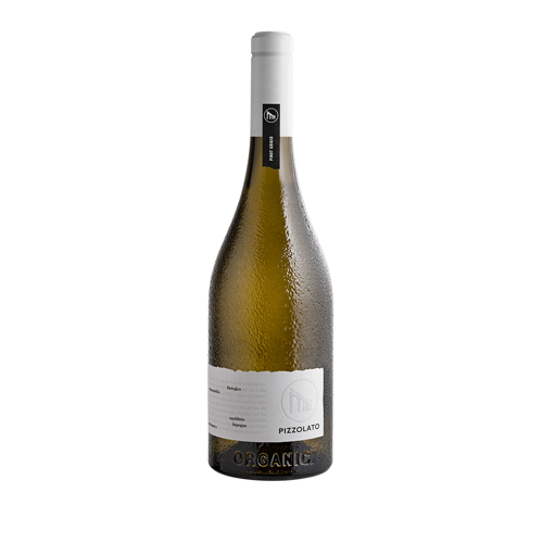 Pinot Grigio DOC Venezia 2023 BIO 0,75l