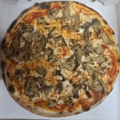 Pizza Funghi