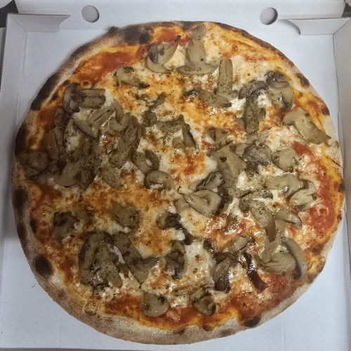 Pizza Funghi