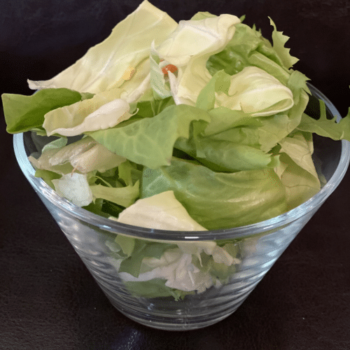 Crevetten Cocktail Salat