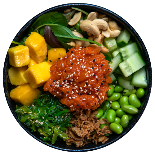 Infinity Bowl