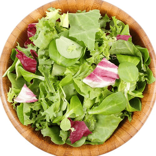 Kleiner Grüner Salat