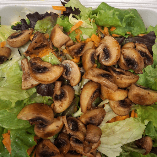 Grosser bunter Salat
